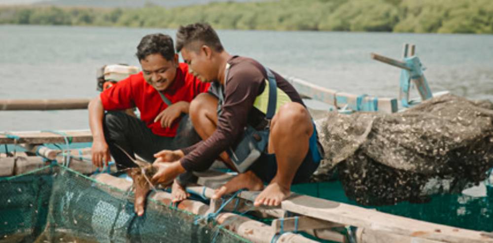 Anak Nelayan Penggerak  Budidaya Lobster Berbasis IoT
