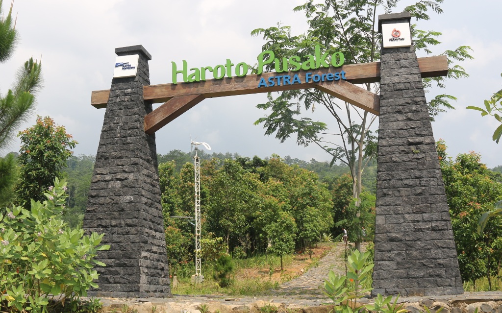 10 Alasan Mengapa Jangan Lewatkan Astra Green Run