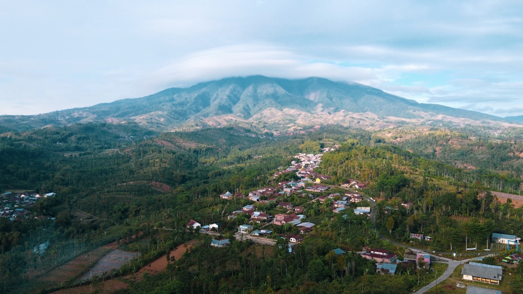 Jelajah Virtual Ke Desa Sejahtera Astra Kendal Penghasil Minyak Atsiri