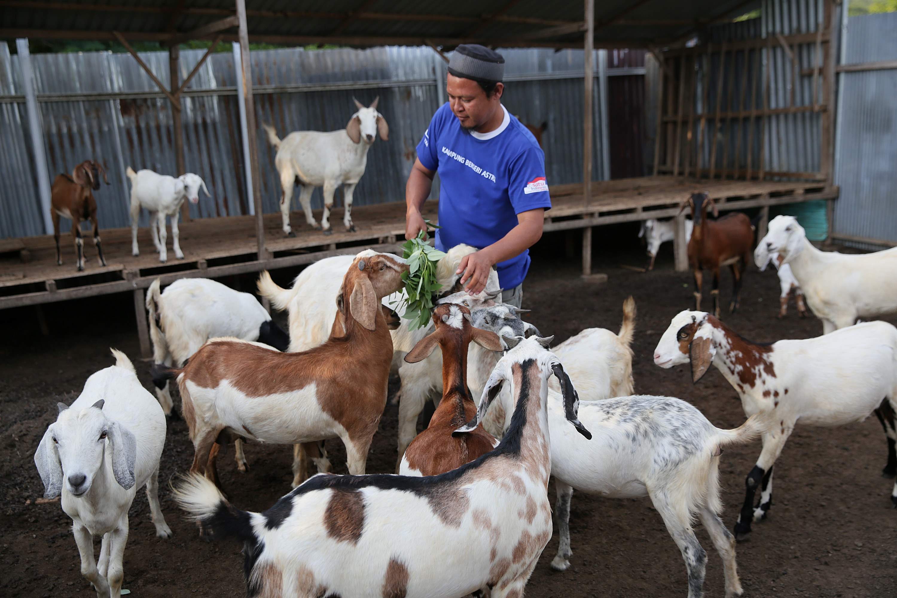 Kampung Berseri Astra Layana Indah Bangkitkan Kemandirian Warga