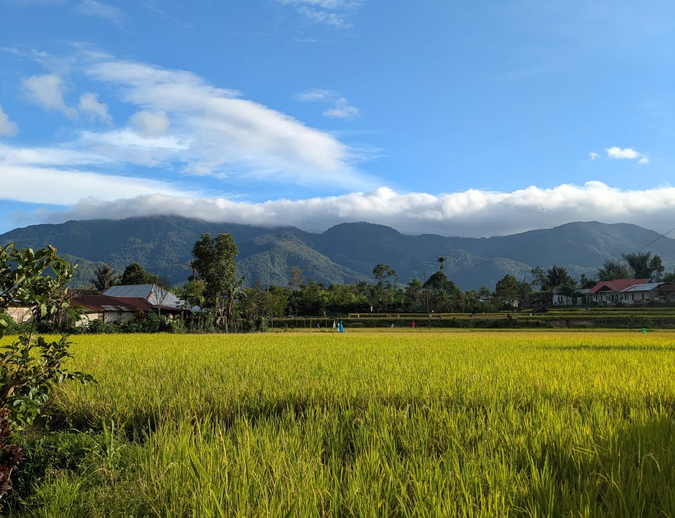 Roadshow Kedua Lomba Foto Astra & Anugerah Pewarta Astra 2025 di Kampung Berseri Astra Tabek Talang Babungo Solok